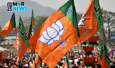 *Breaking: Bjp में निगम सभापति, उपाध्यक्ष के चयन को लेकर पर्यवेक्षकों की सूची जारी*देखिए किन नेताओं को दी गई है जिम्मेदारी*