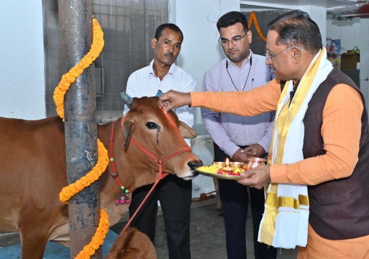 CM Vishnu Deo Sai performs Govardhan Puja, prays for Chhattisgarh’s prosperity and happiness