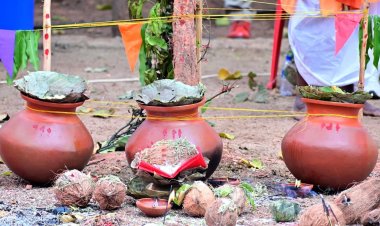 *सरहुल उत्सव जनजाति संस्कृति की विशिष्ट धरोहर, इन्हें संजो कर रखना हमारा कर्तव्य - मुख्यमंत्री श्री साय*